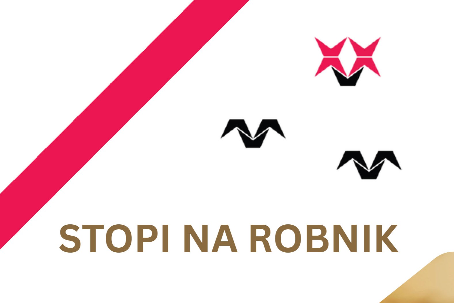 TLK_Nataša Žilevski_literarni večer